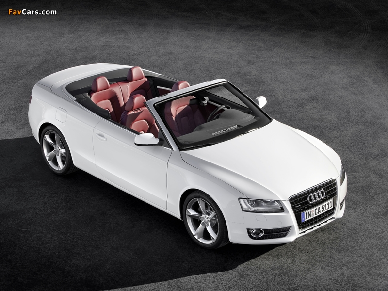 Pictures of Audi A5 3.0 TDI Cabriolet 2009–11 (800 x 600)