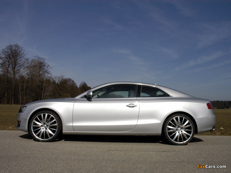 Pictures of Loder1899 Audi A5 Coupe 2009 (800 x 600)