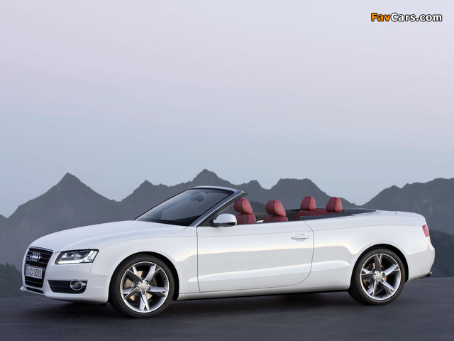 Pictures of Audi A5 3.0 TDI Cabriolet 2009–11 (640 x 480)