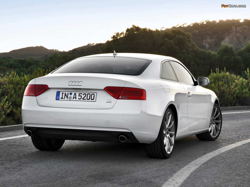Pictures of Audi A5 3.0 TDI quattro Coupe 2011 (1024 x 768)