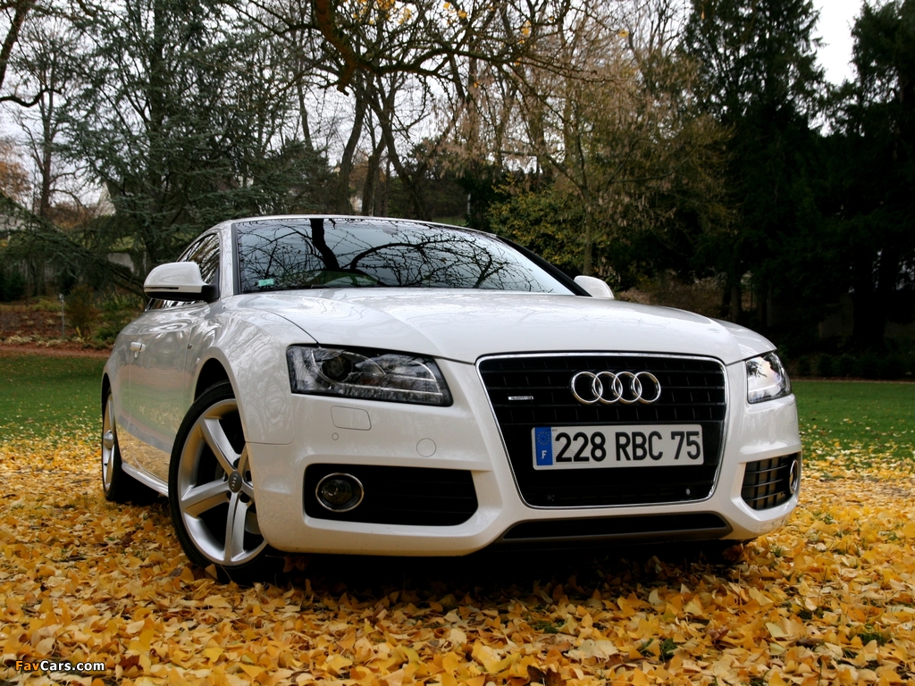 Audi A5 3.0 TDI quattro Coupe 2007–11 wallpapers (1024 x 768)