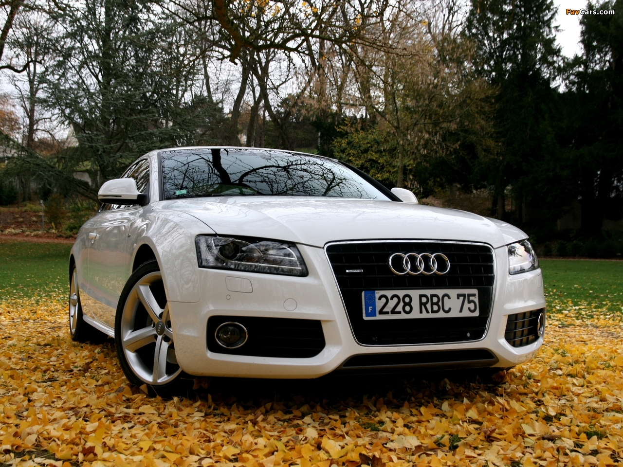 Audi A5 3.0 TDI quattro Coupe 2007–11 wallpapers (1280 x 960)