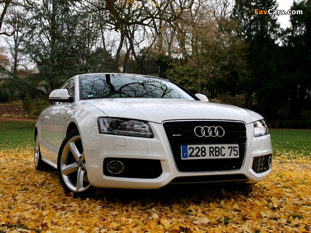 Audi A5 3.0 TDI quattro Coupe 2007–11 wallpapers (640 x 480)