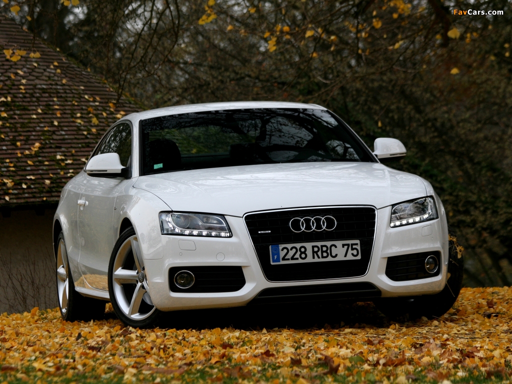 Audi A5 3.0 TDI quattro Coupe 2007–11 wallpapers (1024 x 768)