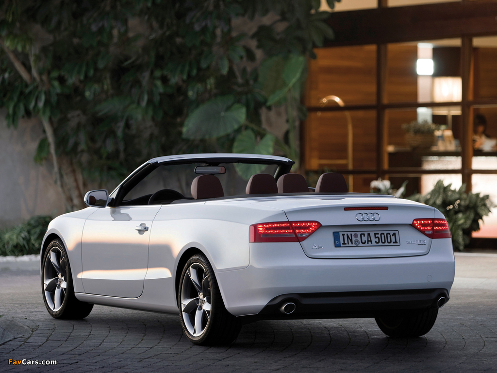 Audi A5 3.0 TDI Cabriolet 2009–11 wallpapers (1024 x 768)