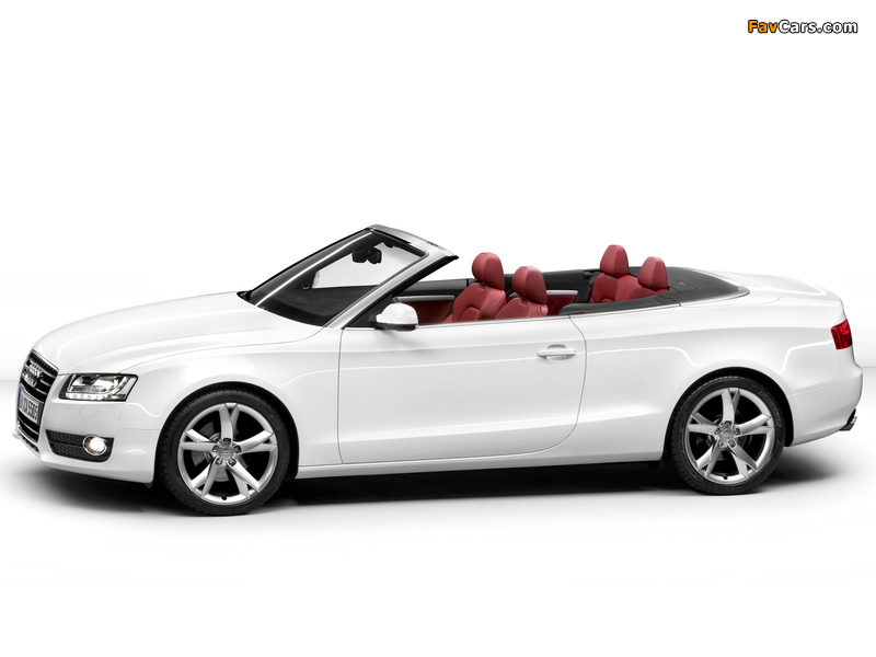 Audi A5 3.0 TDI Cabriolet 2009–11 wallpapers (800 x 600)