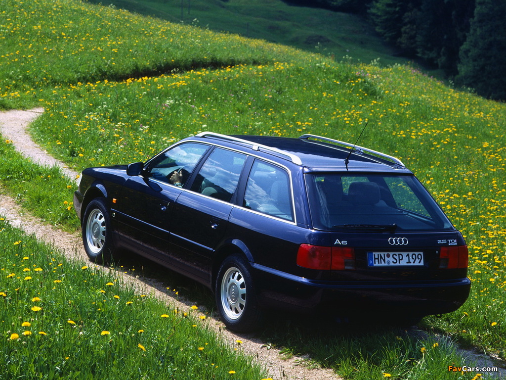 Audi A6 Avant (4A,C4) 1994–97 images (1024 x 768)