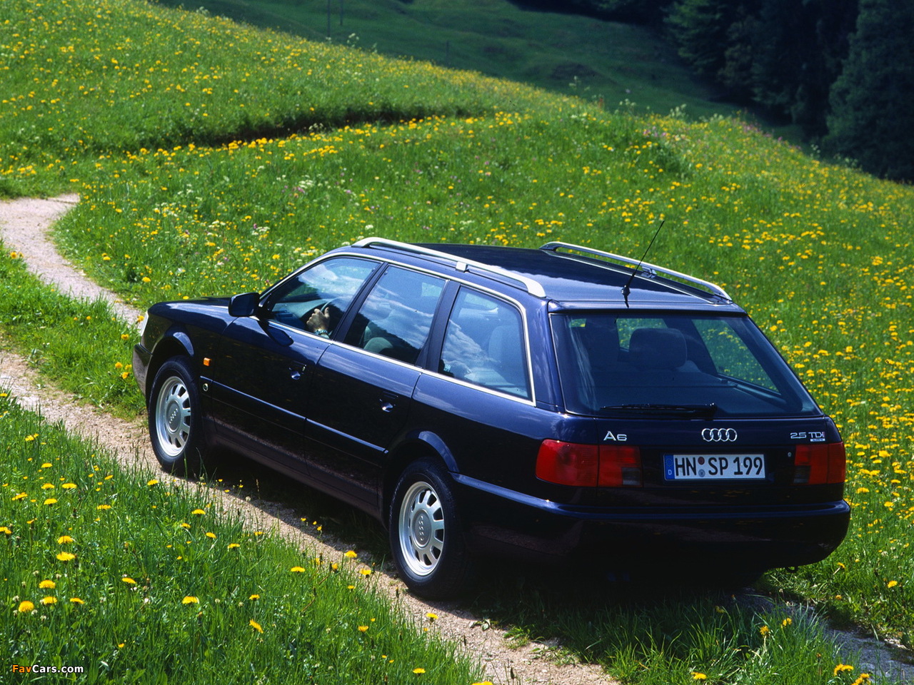 Audi A6 Avant (4A,C4) 1994–97 images (1280 x 960)
