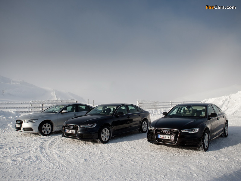 Audi A6 wallpapers (800 x 600)
