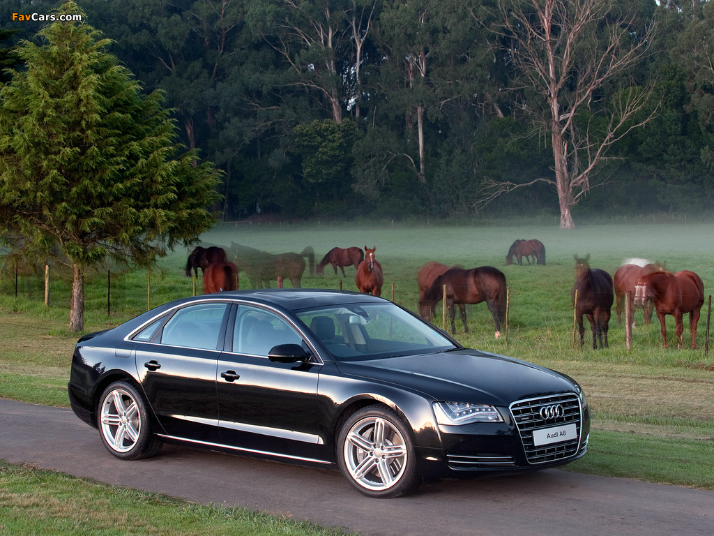 Audi A8 4.2 TDI quattro ZA-spec (D4) 2010 pictures (1024 x 768)