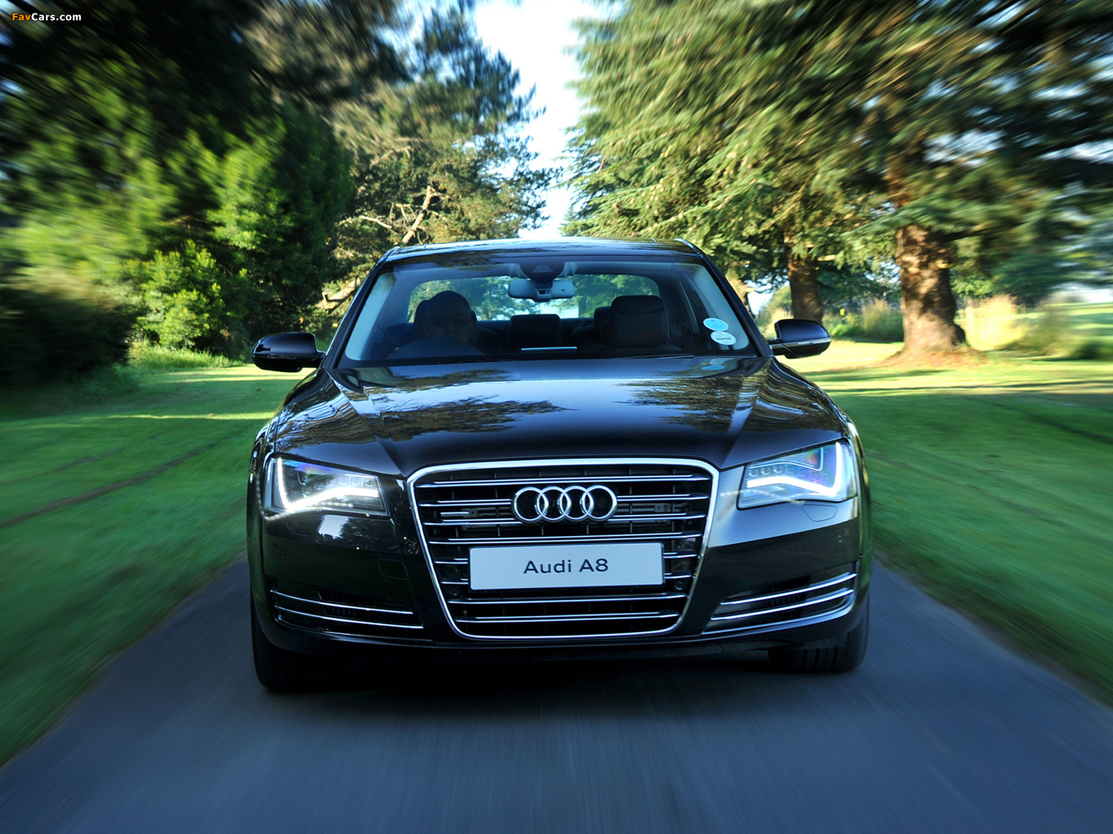 Images of Audi A8 4.2 TDI quattro ZA-spec (D4) 2010 (1600 x 1200)