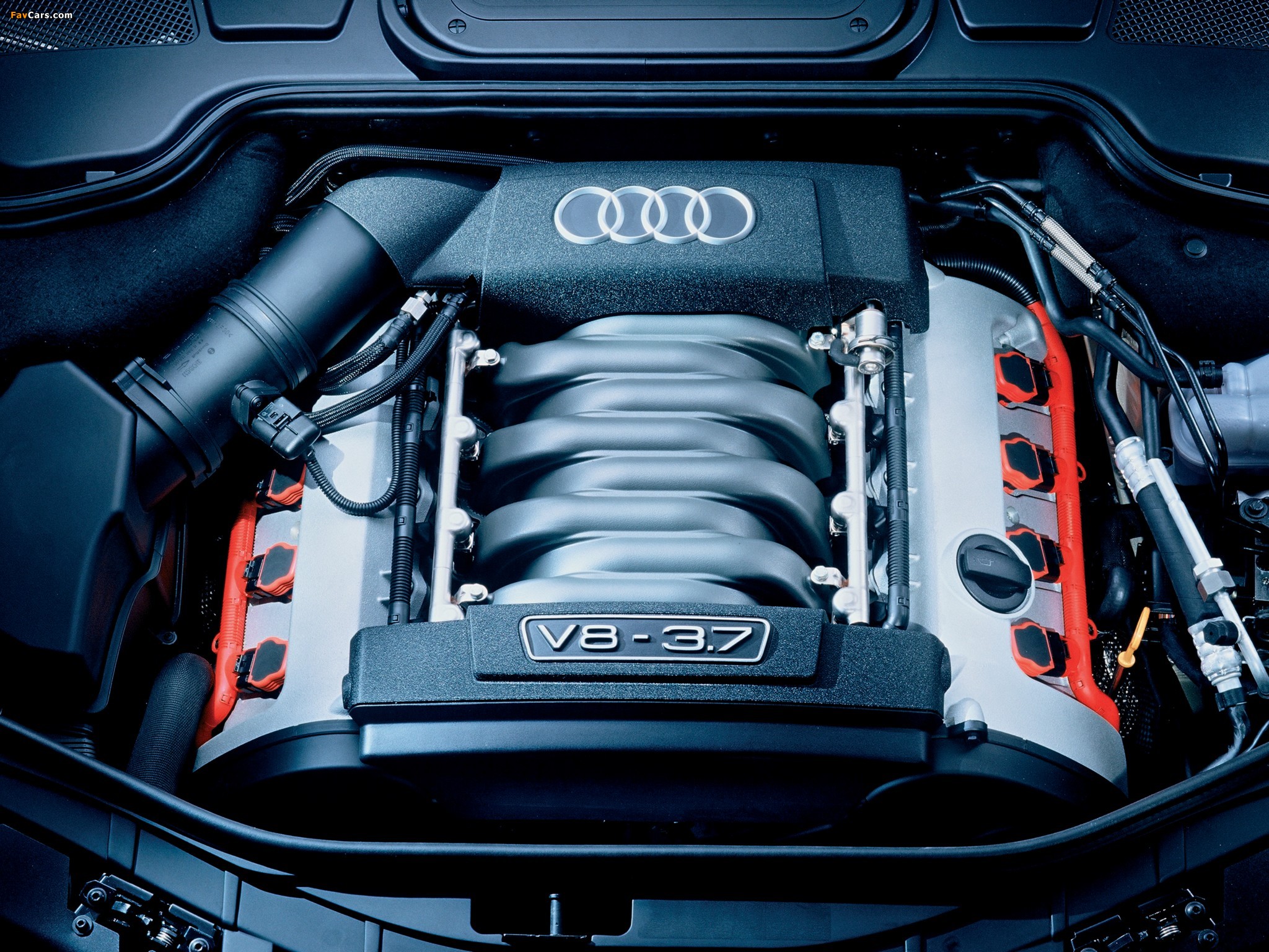 Pictures of Audi A8 3.7 quattro (D3) 2003–05 (2048 x 1536)