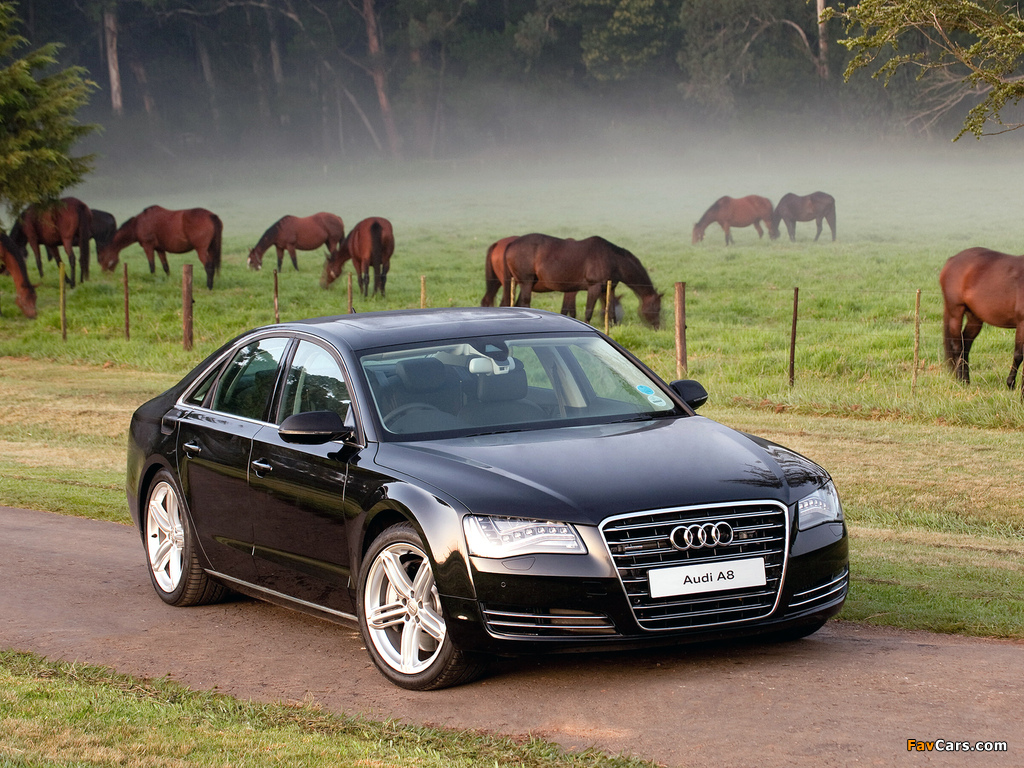 Audi A8 4.2 TDI quattro ZA-spec (D4) 2010 wallpapers (1024 x 768)