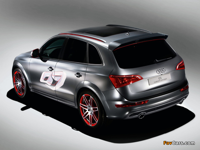 Audi Q5 Custom Concept 2009 images (640 x 480)