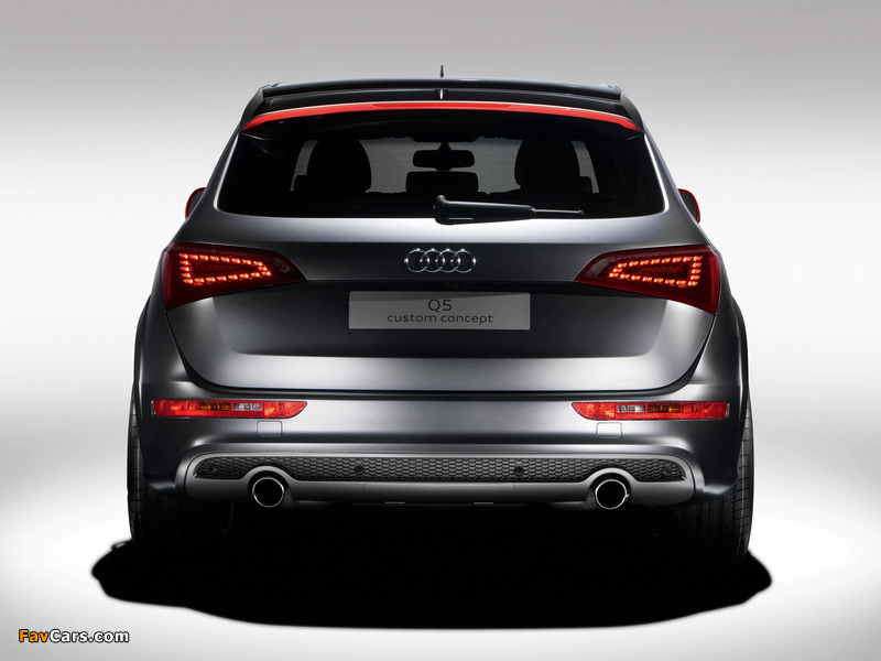 Audi Q5 Custom Concept 2009 images (800 x 600)