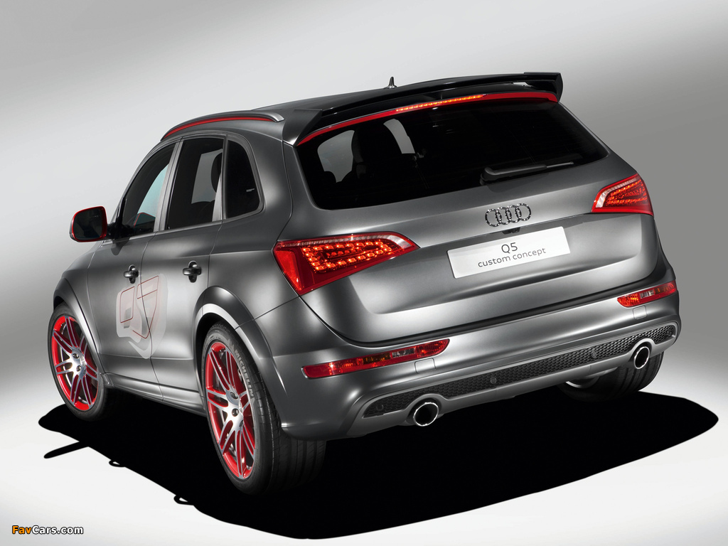 Images of Audi Q5 Custom Concept 2009 (1024 x 768)