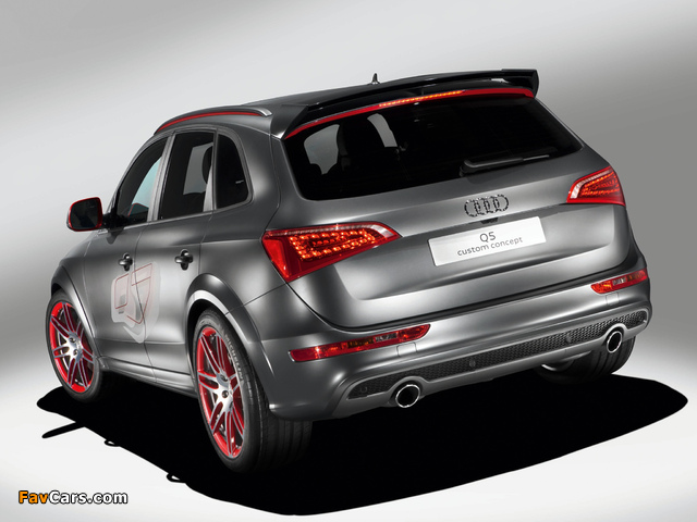 Images of Audi Q5 Custom Concept 2009 (640 x 480)