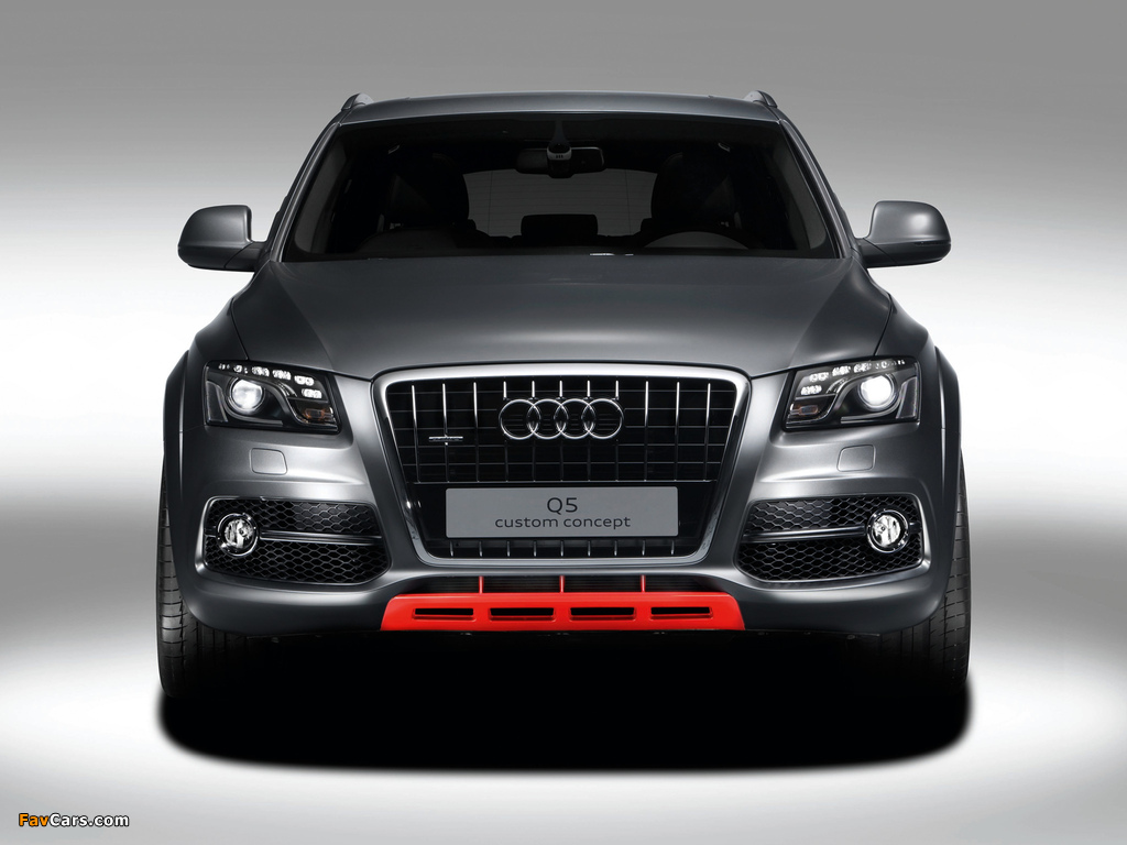 Images of Audi Q5 Custom Concept 2009 (1024 x 768)