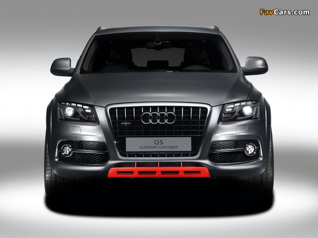 Images of Audi Q5 Custom Concept 2009 (640 x 480)