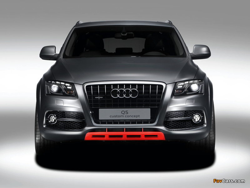 Images of Audi Q5 Custom Concept 2009 (800 x 600)