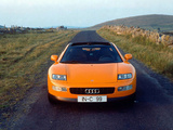 Photos of Audi Quattro Spyder Concept  1991