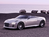 Photos of Audi e-Tron Spyder Concept 2010