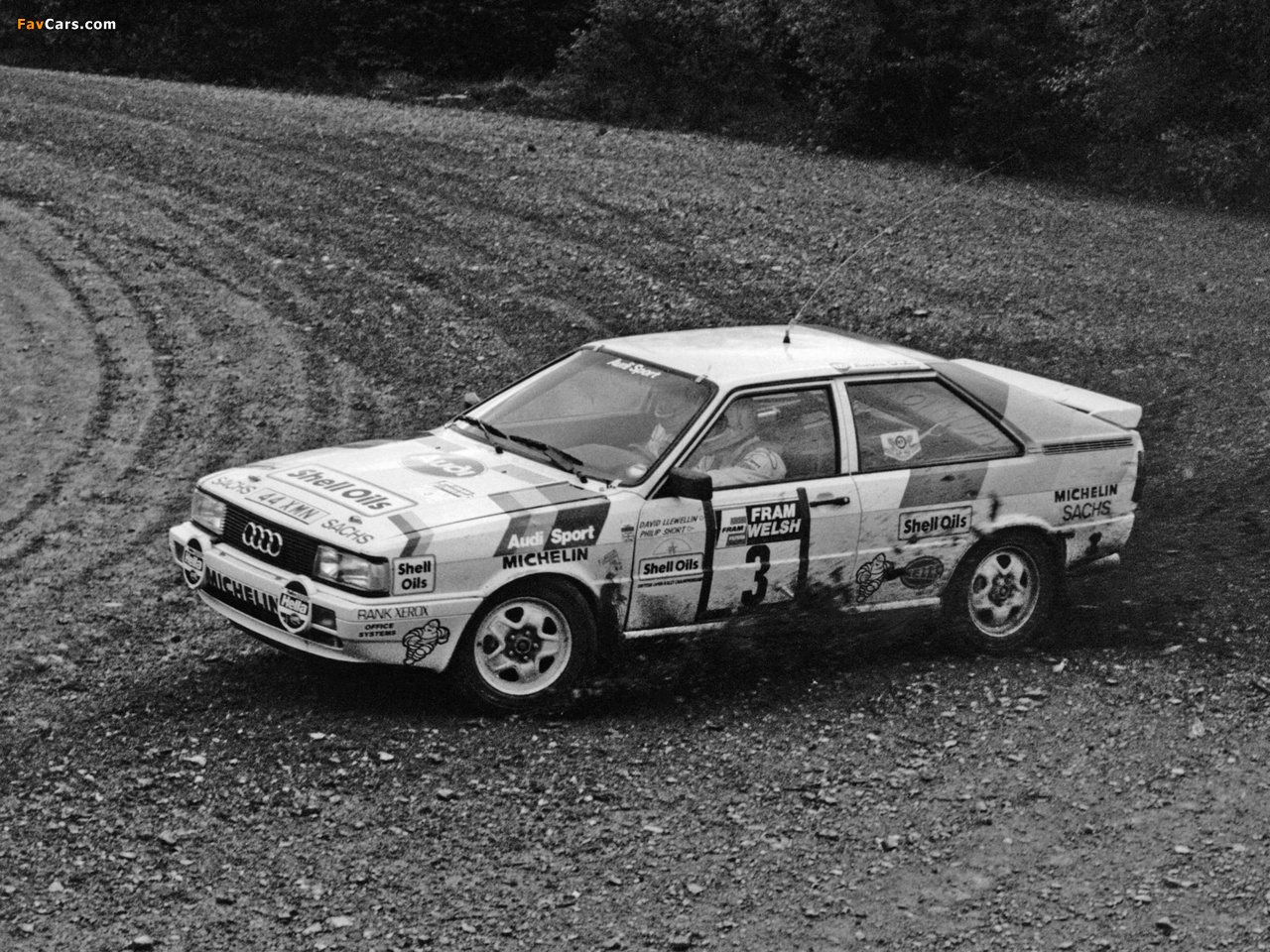 Audi Coupe quattro Rally Car (81,85) 1985–88 images (1280 x 960)