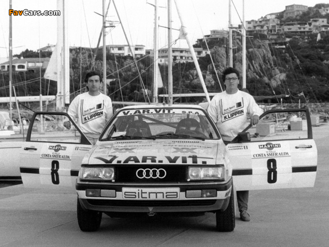 Audi Coupe quattro Rally Car (81,85) 1985–88 photos (640 x 480)
