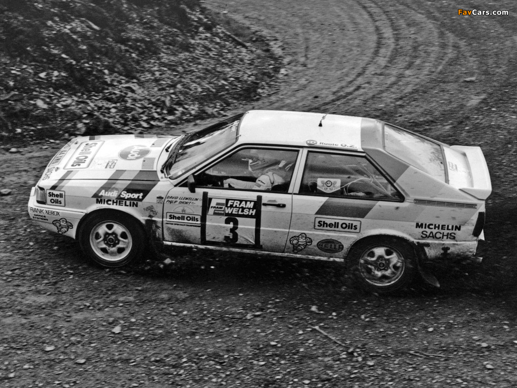 Audi Coupe quattro Rally Car (81,85) 1985–88 photos (1024 x 768)