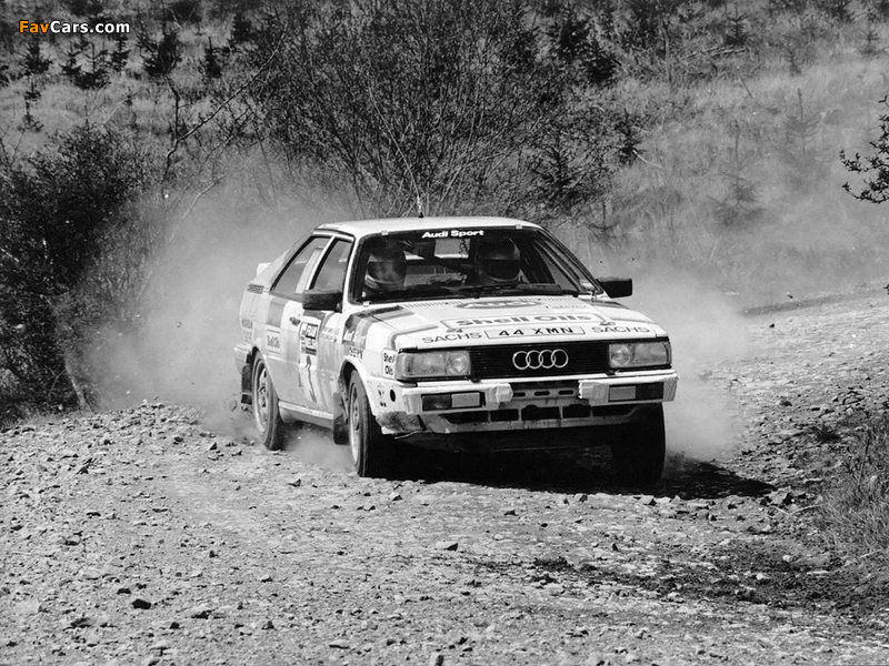 Audi Coupe quattro Rally Car (81,85) 1985–88 pictures (800 x 600)