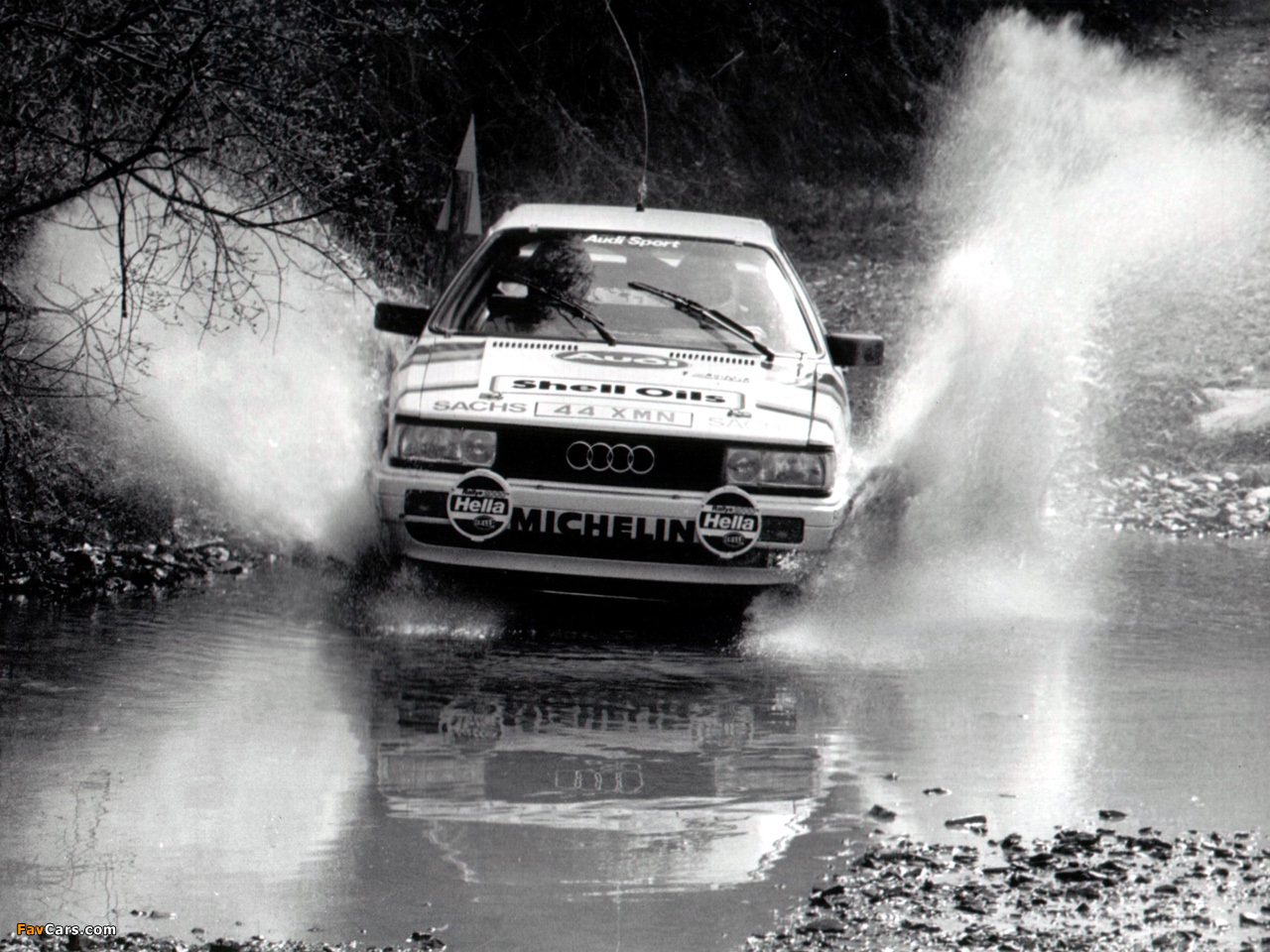 Images of Audi Coupe quattro Rally Car (81,85) 1985–88 (1280 x 960)