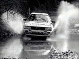 Images of Audi Coupe quattro Rally Car (81,85) 1985–88