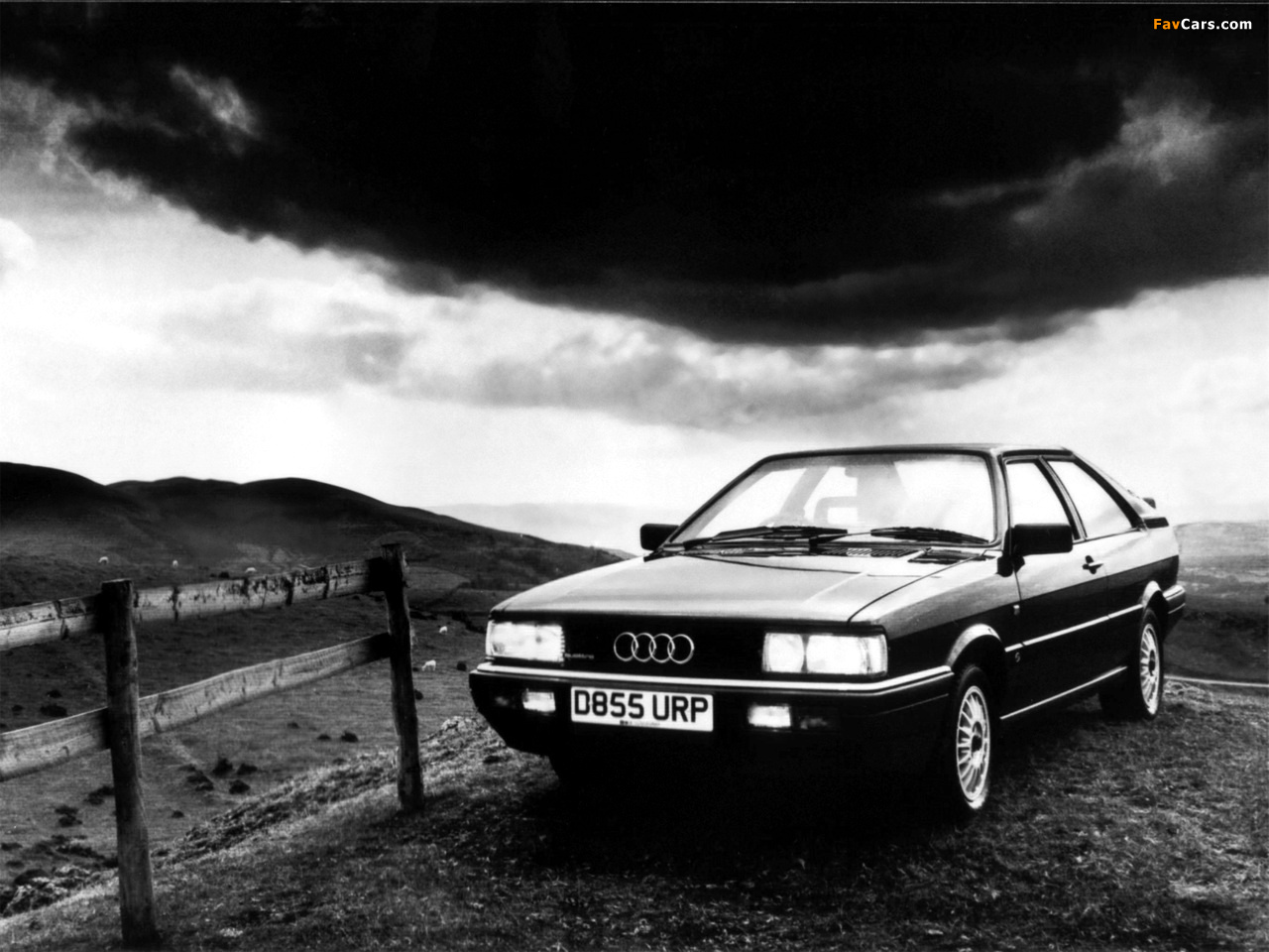Audi Coupe quattro (81,85) 1984–88 wallpapers (1280 x 960)