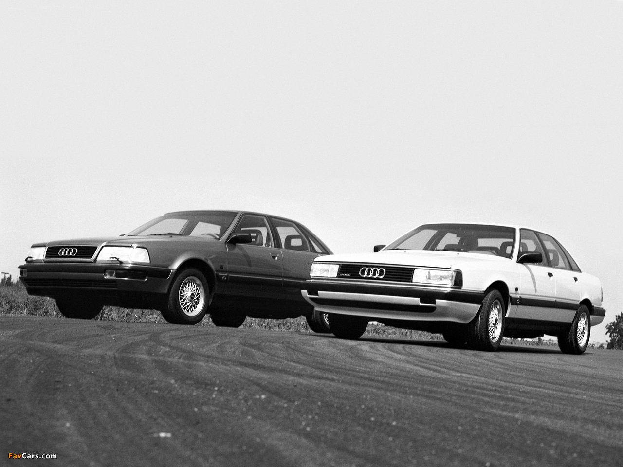 Audi photos (1280 x 960)