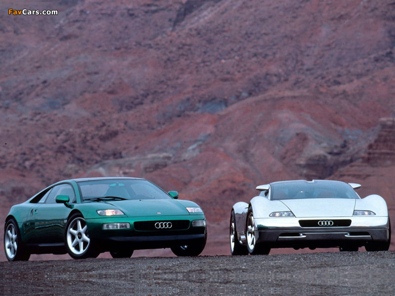 Images of Audi (800 x 600)