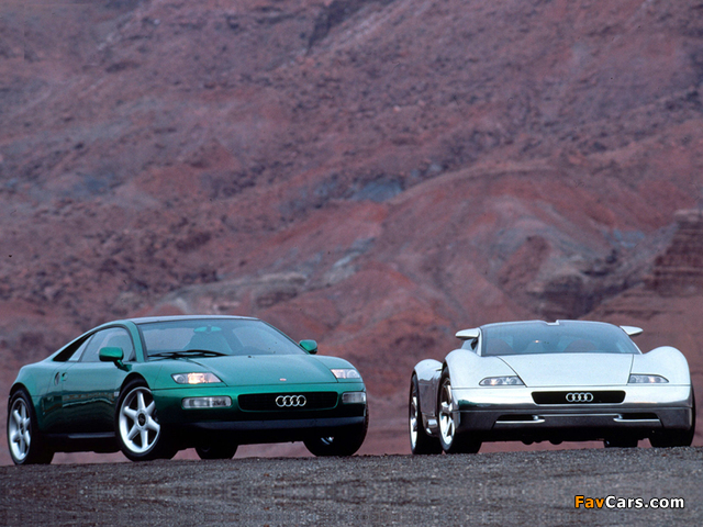 Images of Audi (640 x 480)