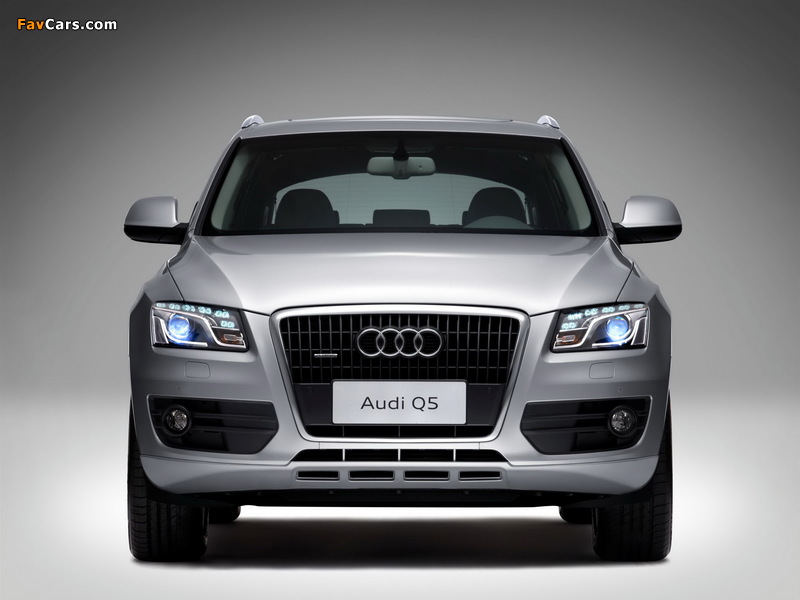 Audi Q5 2.0T quattro 2008 pictures (800 x 600)