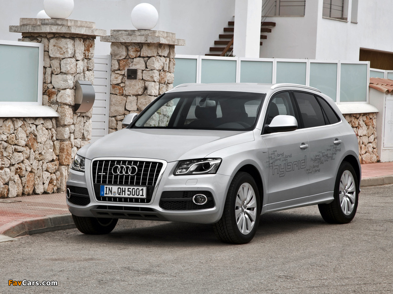 Audi Q5 Hybrid quattro (8R) 2011 photos (800 x 600)