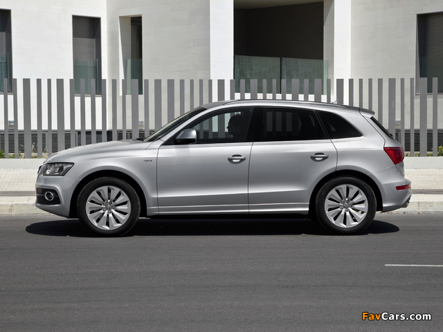 Audi Q5 Hybrid quattro (8R) 2011 photos (640 x 480)