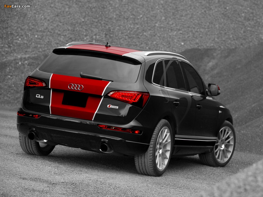 Pictures of STaSIS Engineering Audi Q5 2.0T quattro (8R) 2011 (1024 x 768)