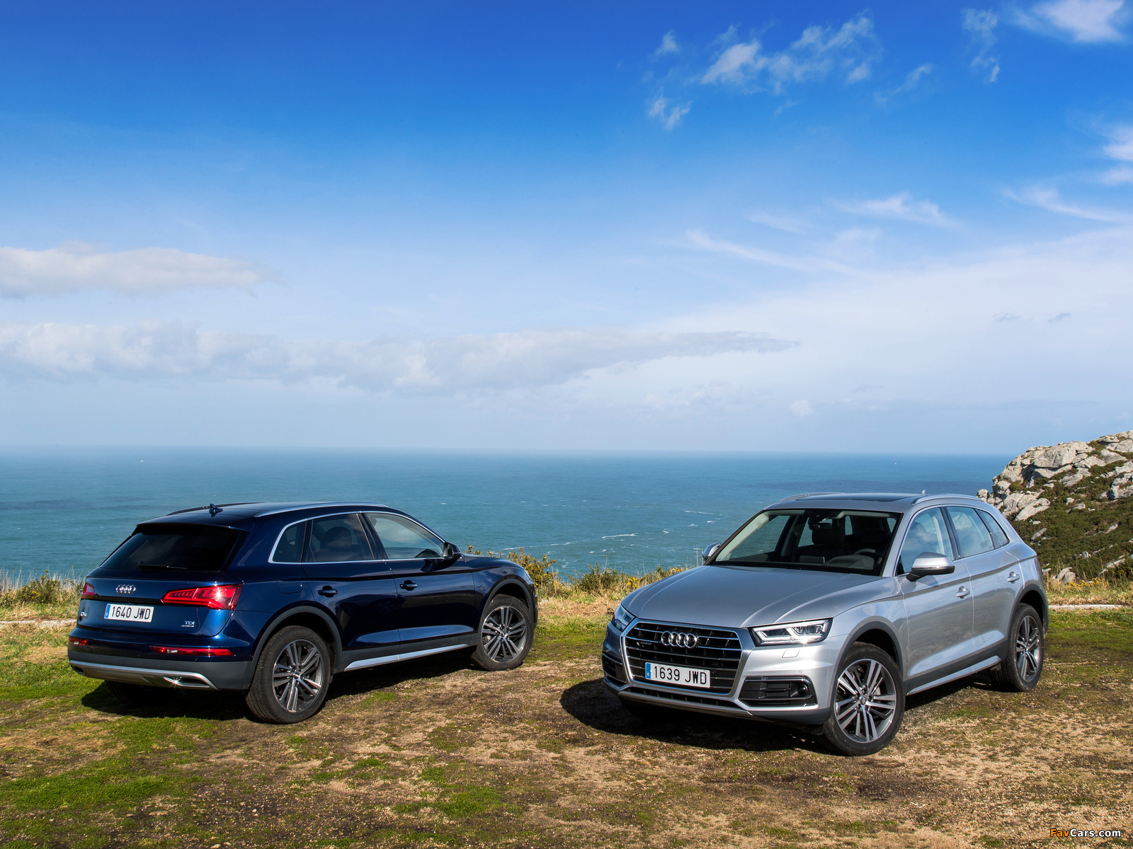 Audi Q5 TDI quattro 2016 wallpapers (1600 x 1200)