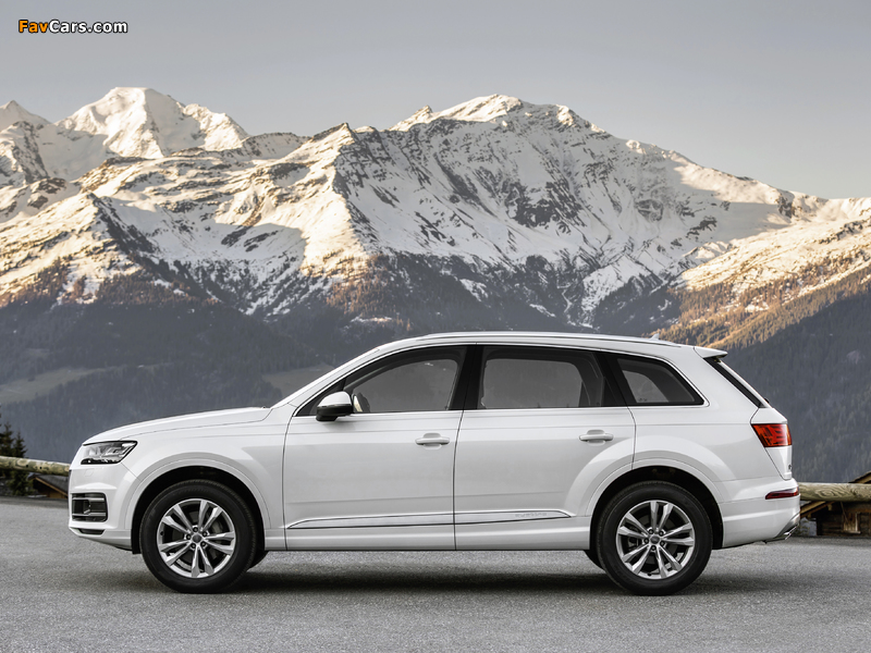 Audi Q7 TDI quattro (4M) 2015 pictures (800 x 600)