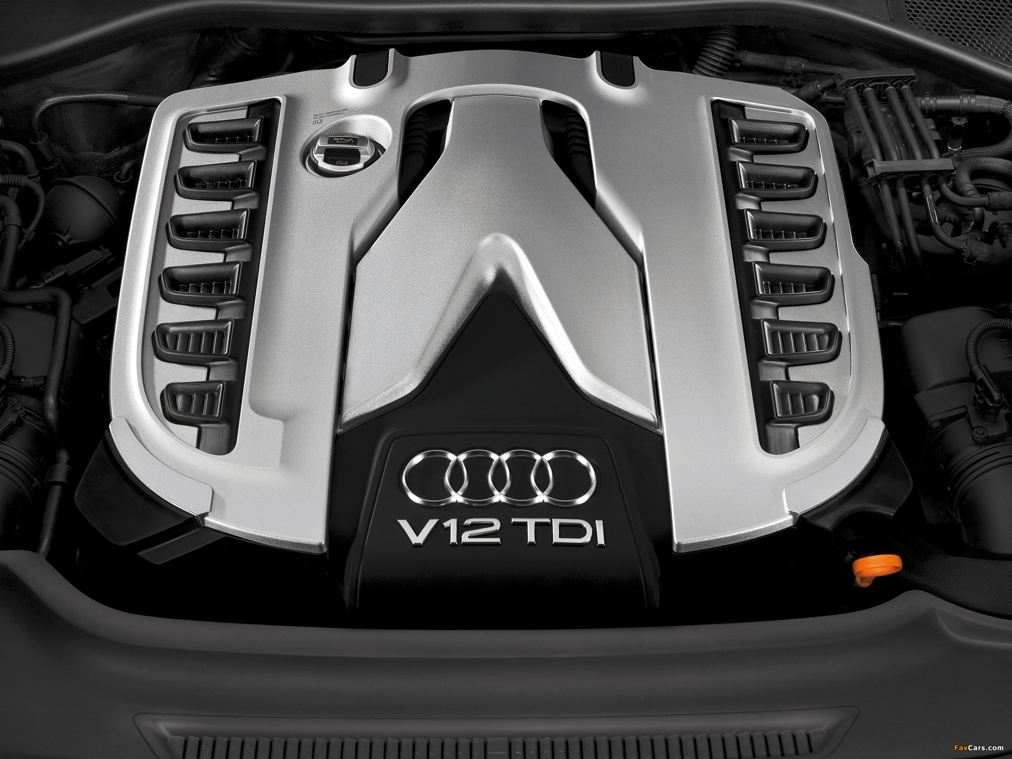 Pictures of Audi Q7 V12 TDI quattro 2008 (2048 x 1536)