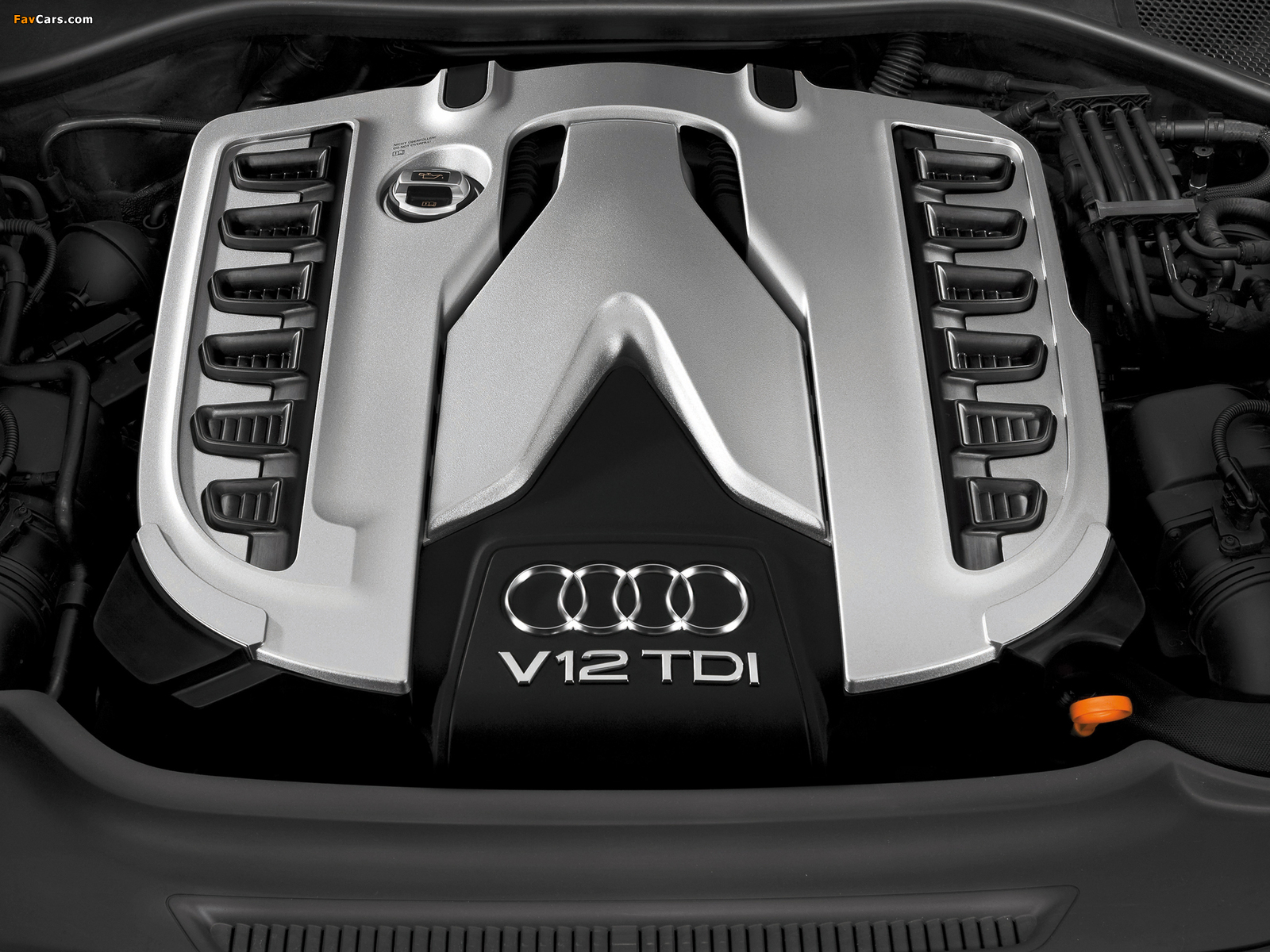 Pictures of Audi Q7 V12 TDI quattro 2008 (1600 x 1200)