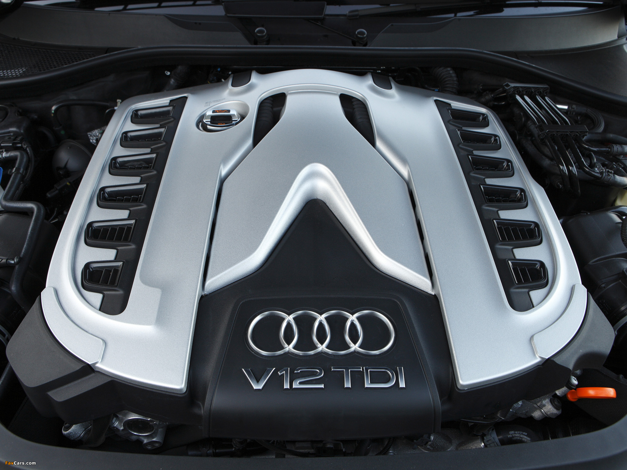 Pictures of Audi Q7 V12 TDI quattro AU-spec 2008 (2048 x 1536)