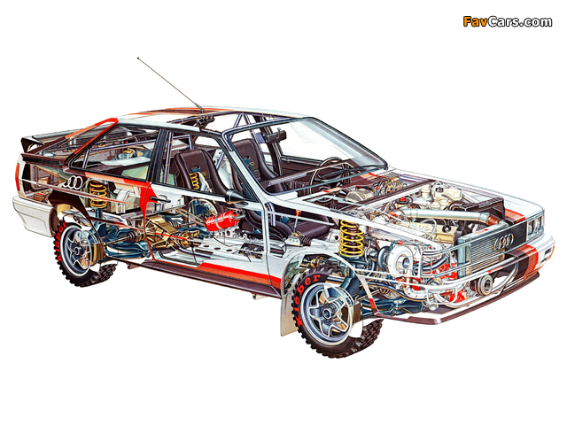 Audi quattro Rally Car (Typ 85) 1980 wallpapers (640 x 480)