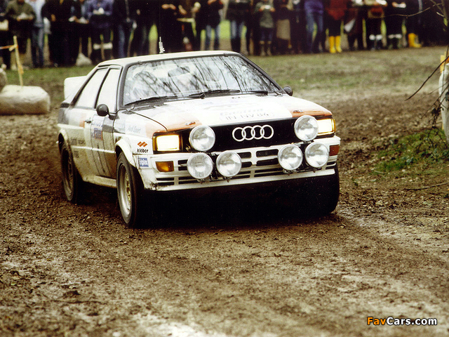 Audi Quattro Group 4 Rally Car (85) 1981–82 images (640 x 480)