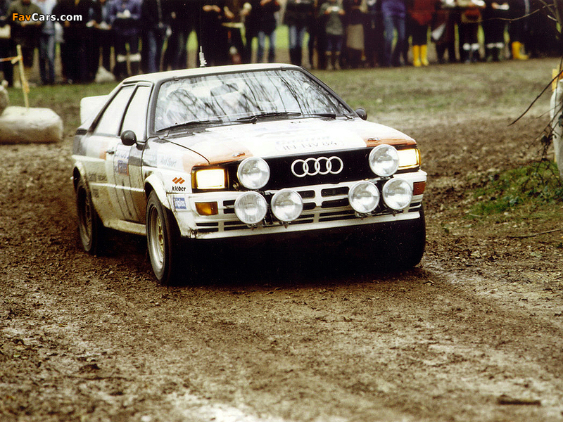 Audi Quattro Group 4 Rally Car (85) 1981–82 images (800 x 600)