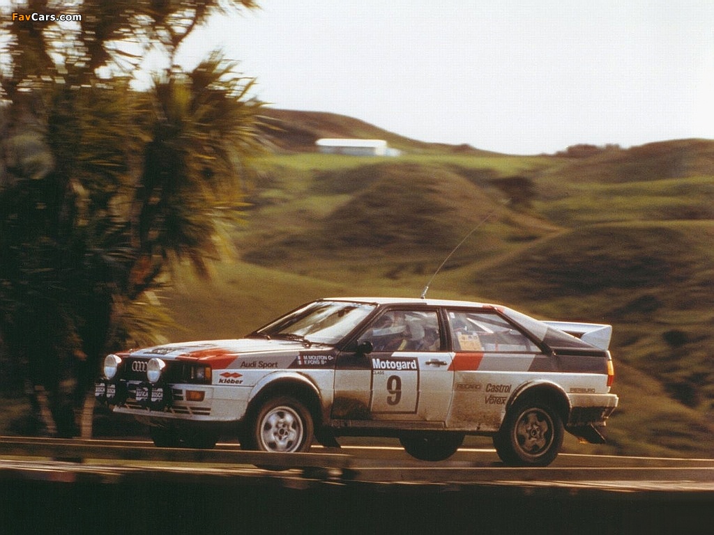 Audi Quattro Group 4 Rally Car (85) 1981–82 photos (1024 x 768)