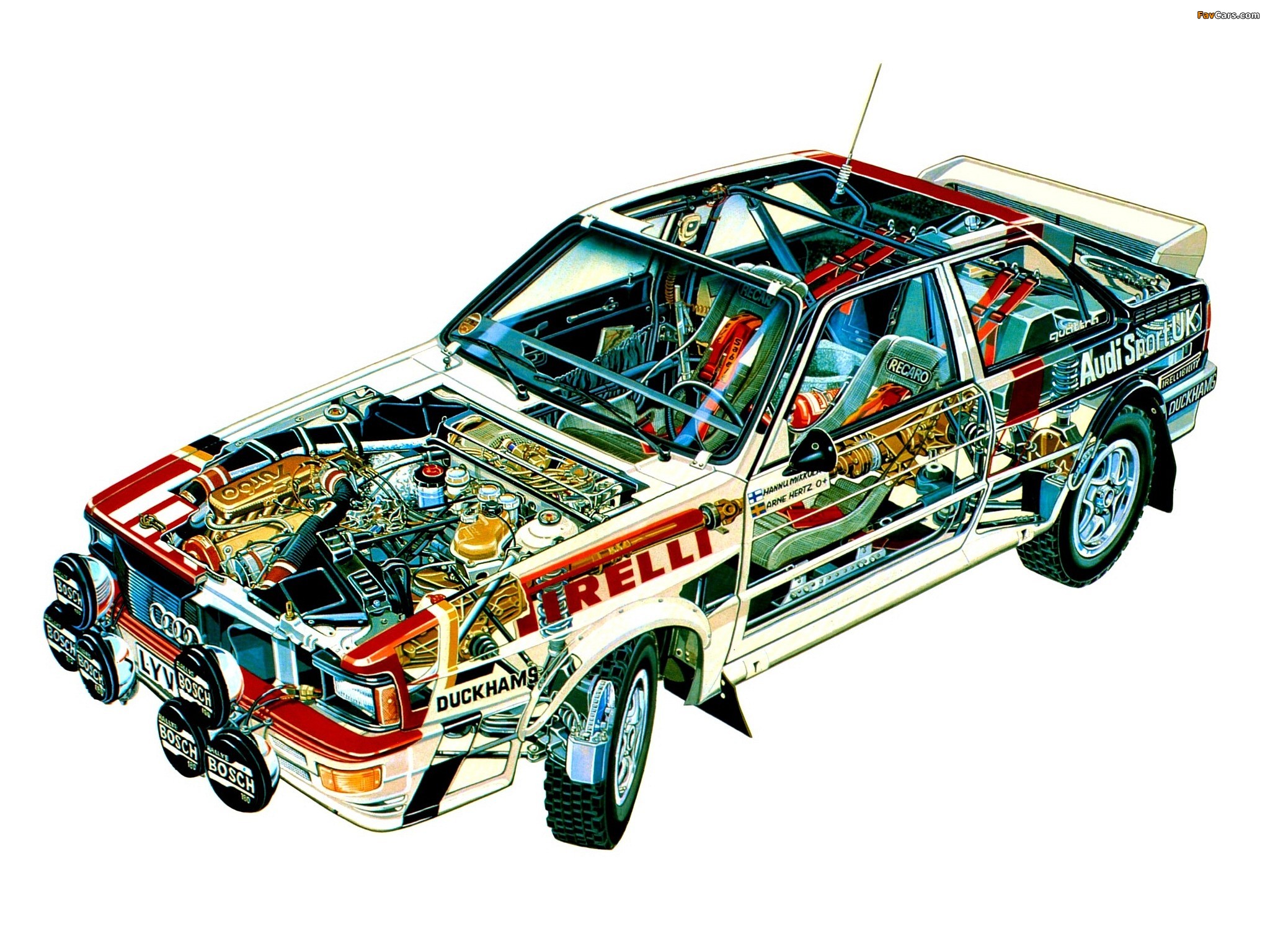Audi Quattro Group 4 Rally Car (85) 1981–82 pictures (2048 x 1536)